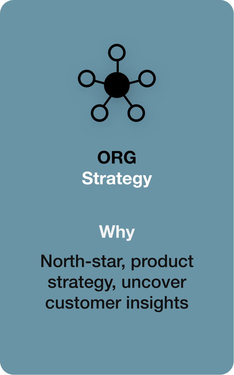 Org Strategy Lg.png