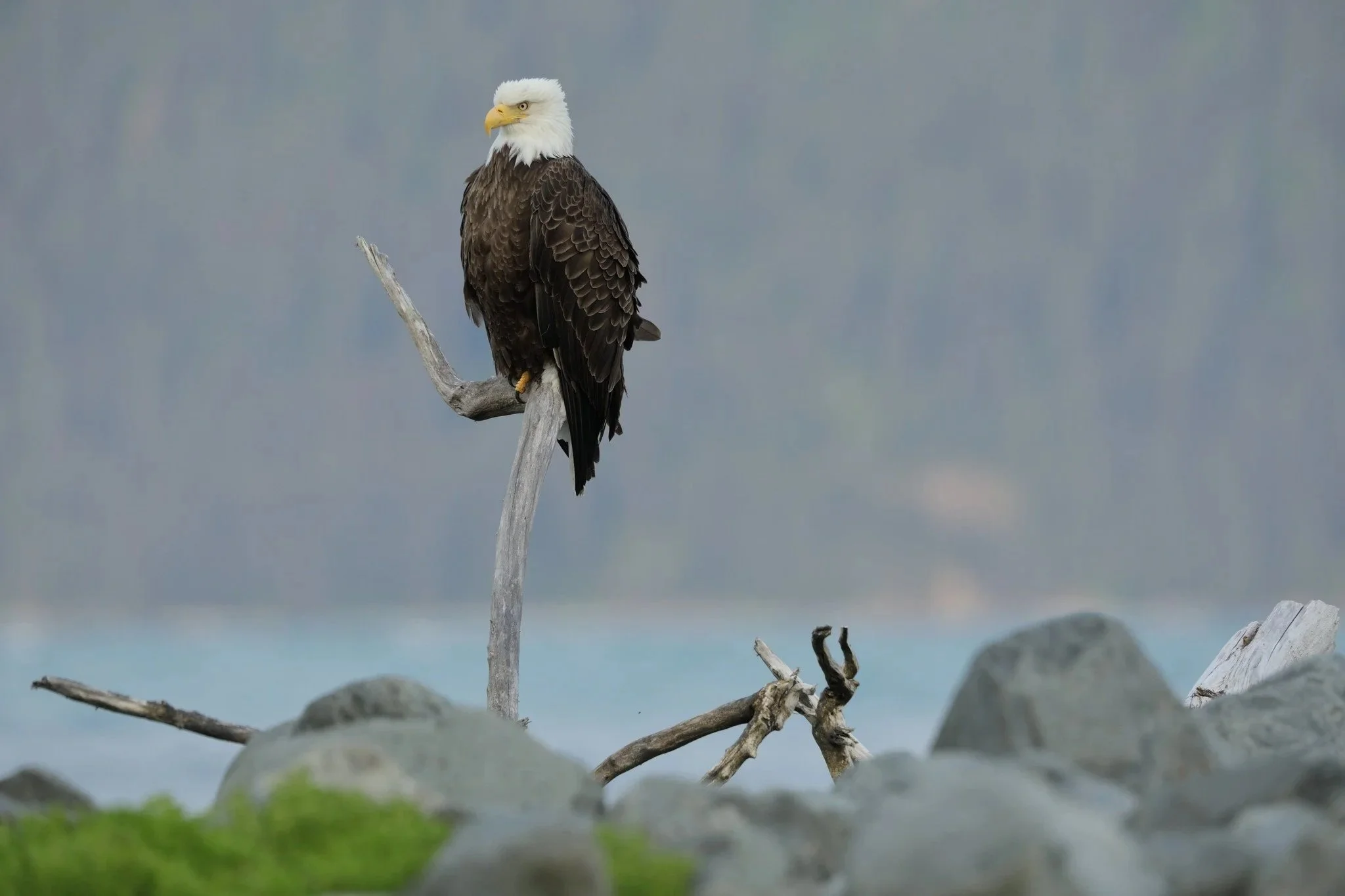 Alaska's Adak Island