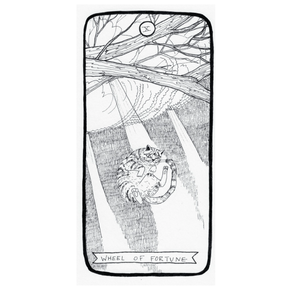 Screenshot 2025-11-27 at 5.20.56 PM.png