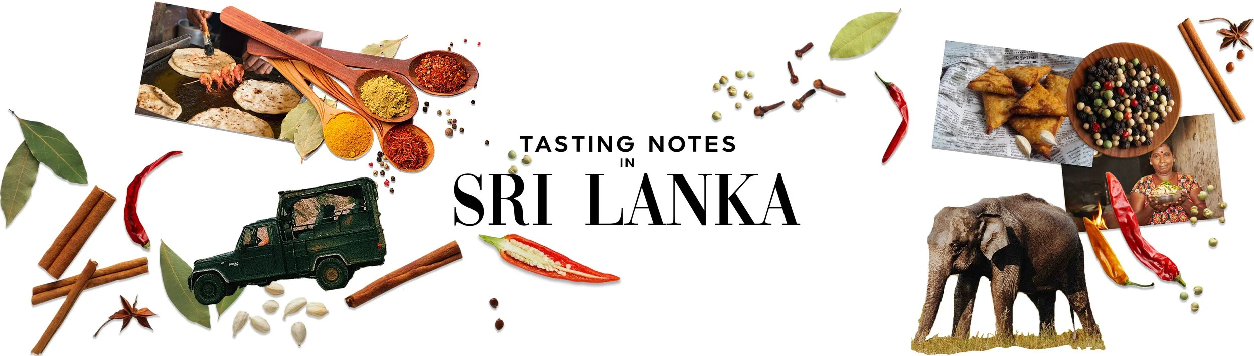 Styles-Tasting Notes-Sri Lanka-1.jpg