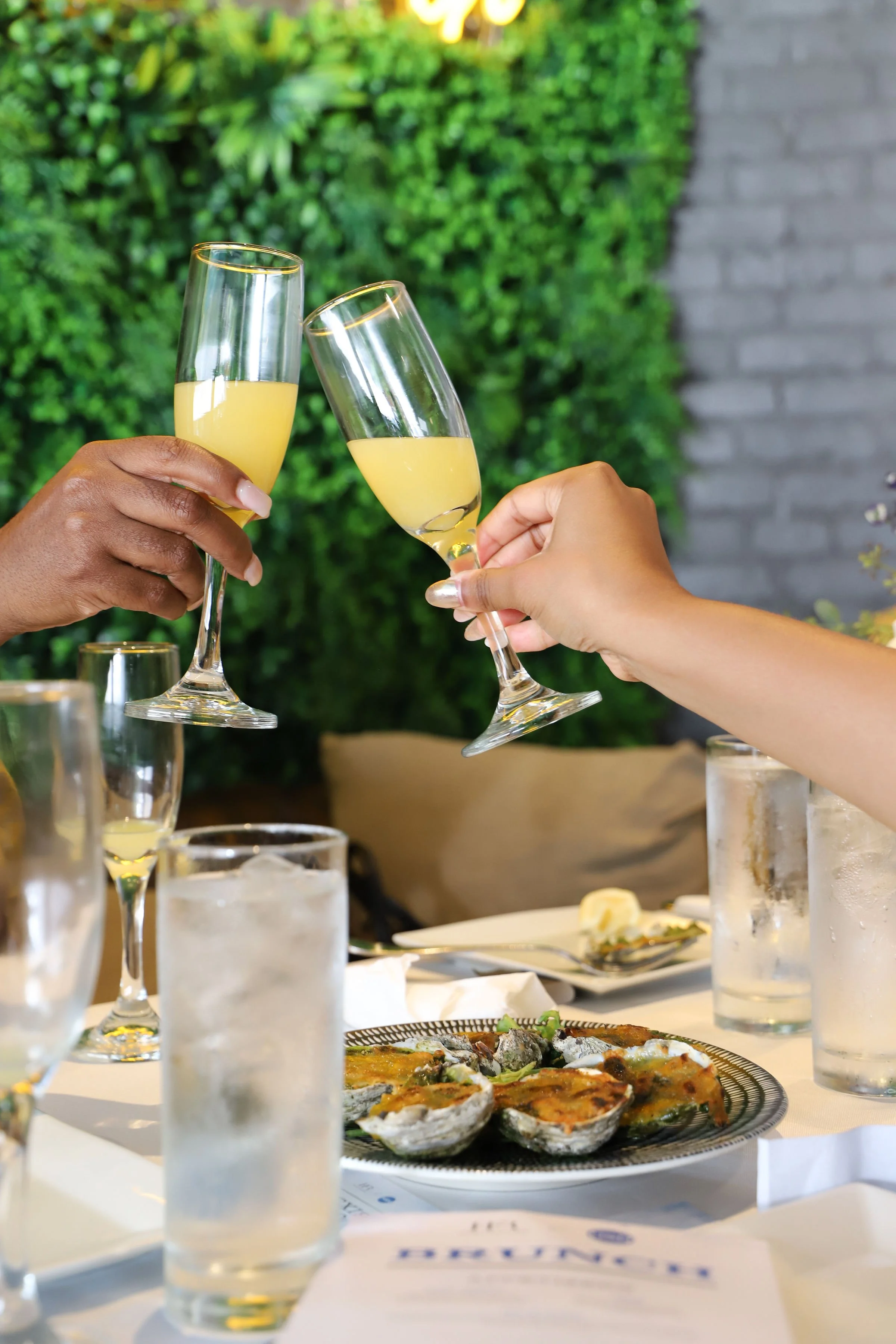 HFR x HSN Influencer Brunch