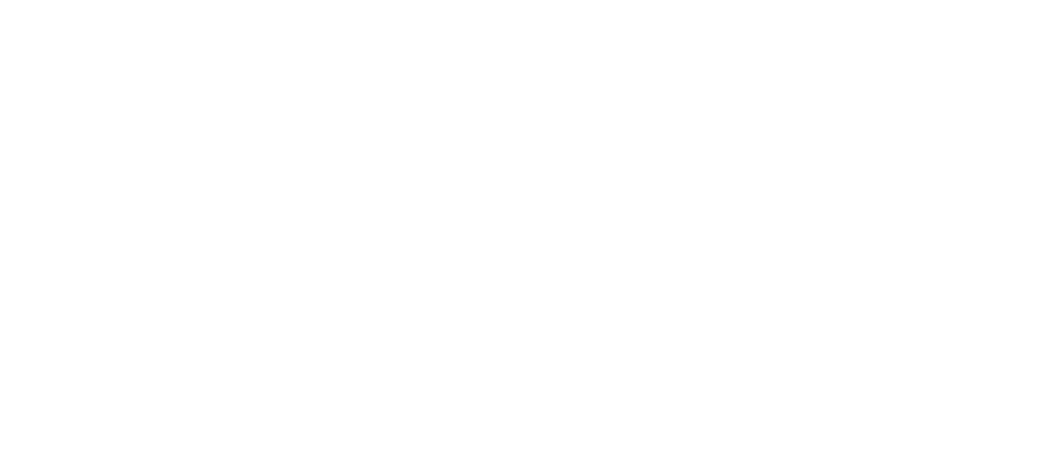 The Bartisan