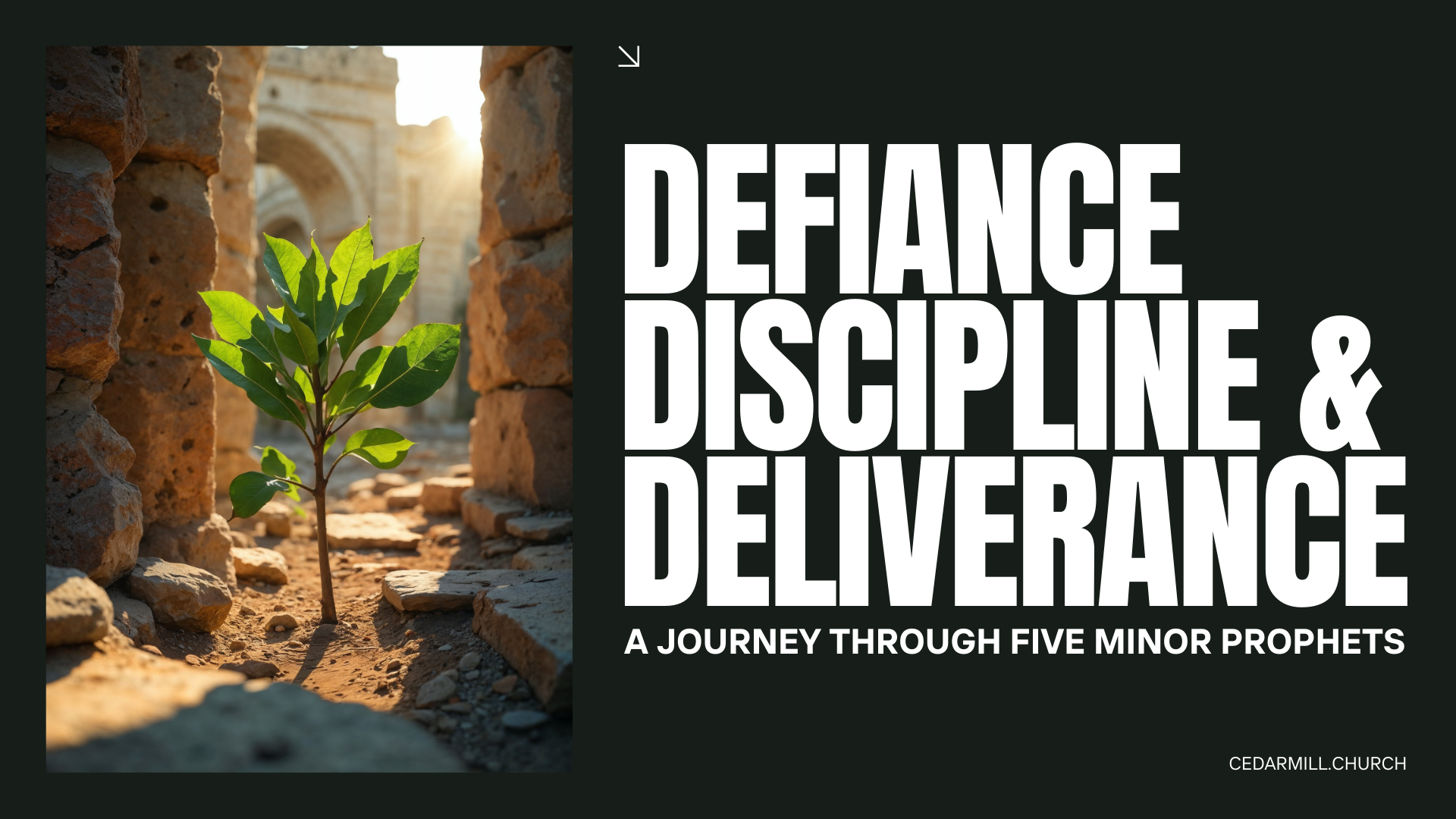 Defiance, Discipline & Deliverance
