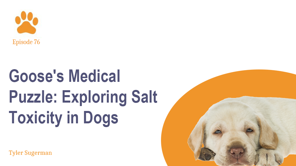 Goose's Medical Puzzle Exploring Salt Toxicity in Dogs — Vetsplanation