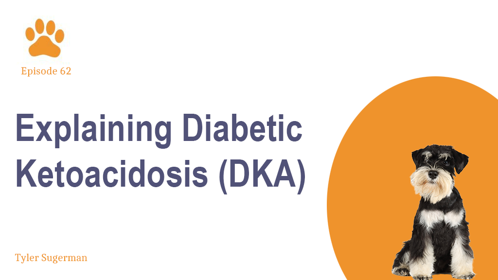 Explaining Diabetic Ketoacidosis (DKA) — Vetsplanation