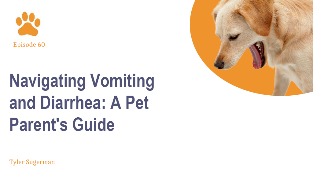 Navigating Vomiting and Diarrhea A Pet Parent's Guide — Vetsplanation