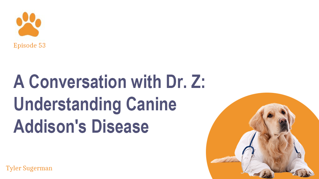 A Conversation with Dr. Z Understanding Canine Addison's Disease