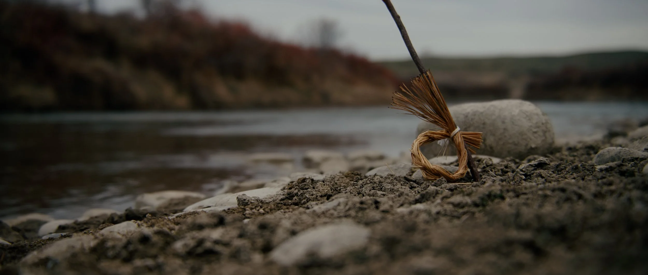 ECOSYSTEM RESTORATION - SOUND DESIGN + COLOR - FINAL.00_01_54_06.Still004.jpg