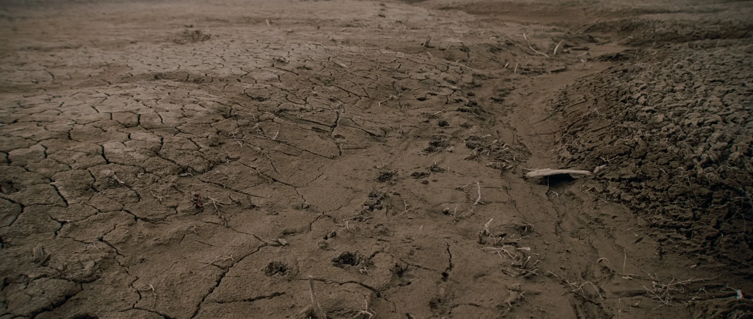 ECOSYSTEM RESTORATION - SOUND DESIGN + COLOR - FINAL.00_02_33_19.Still010.jpg