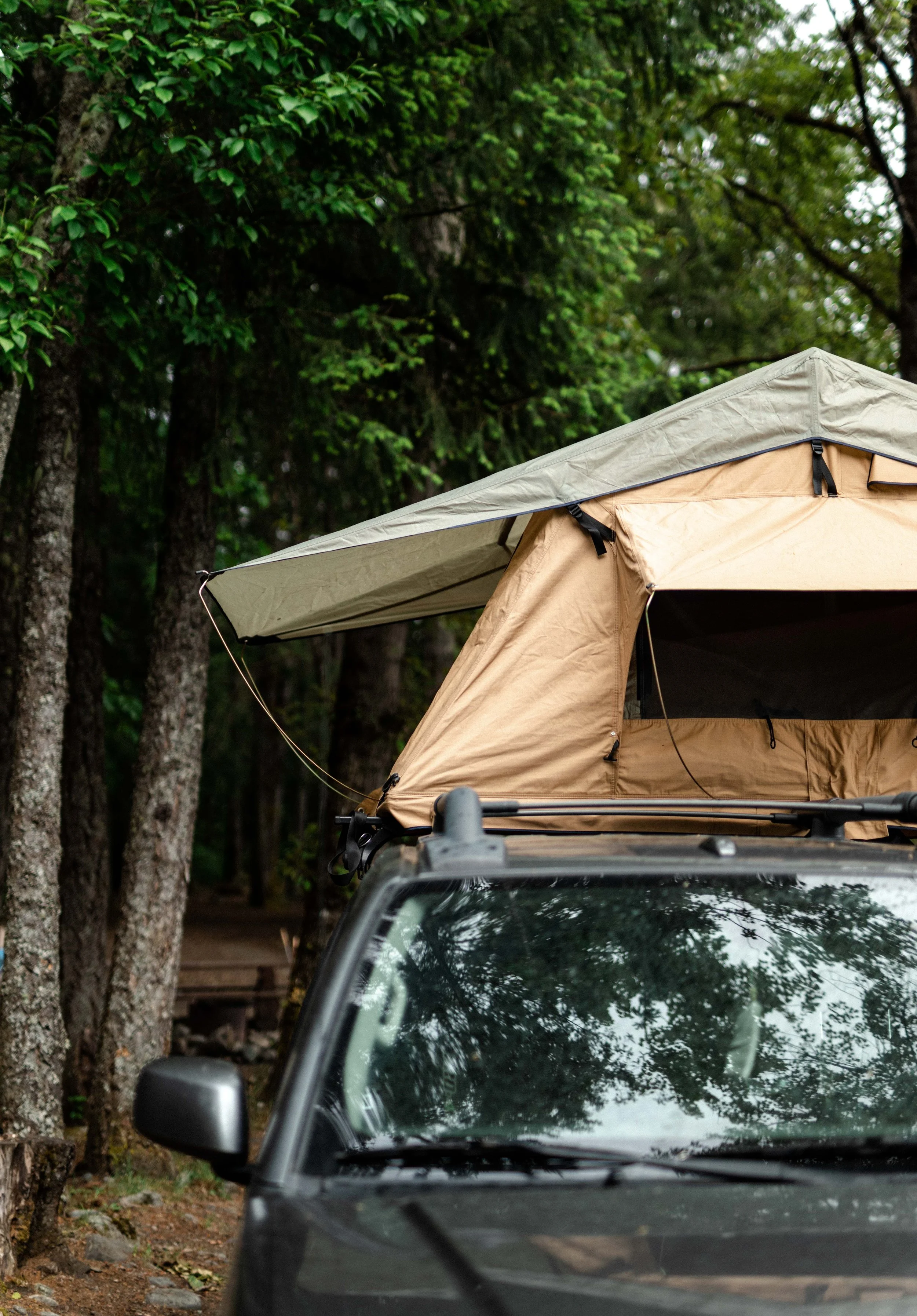 22.06.03_SEATOSKY_COMBS_ 278.jpg