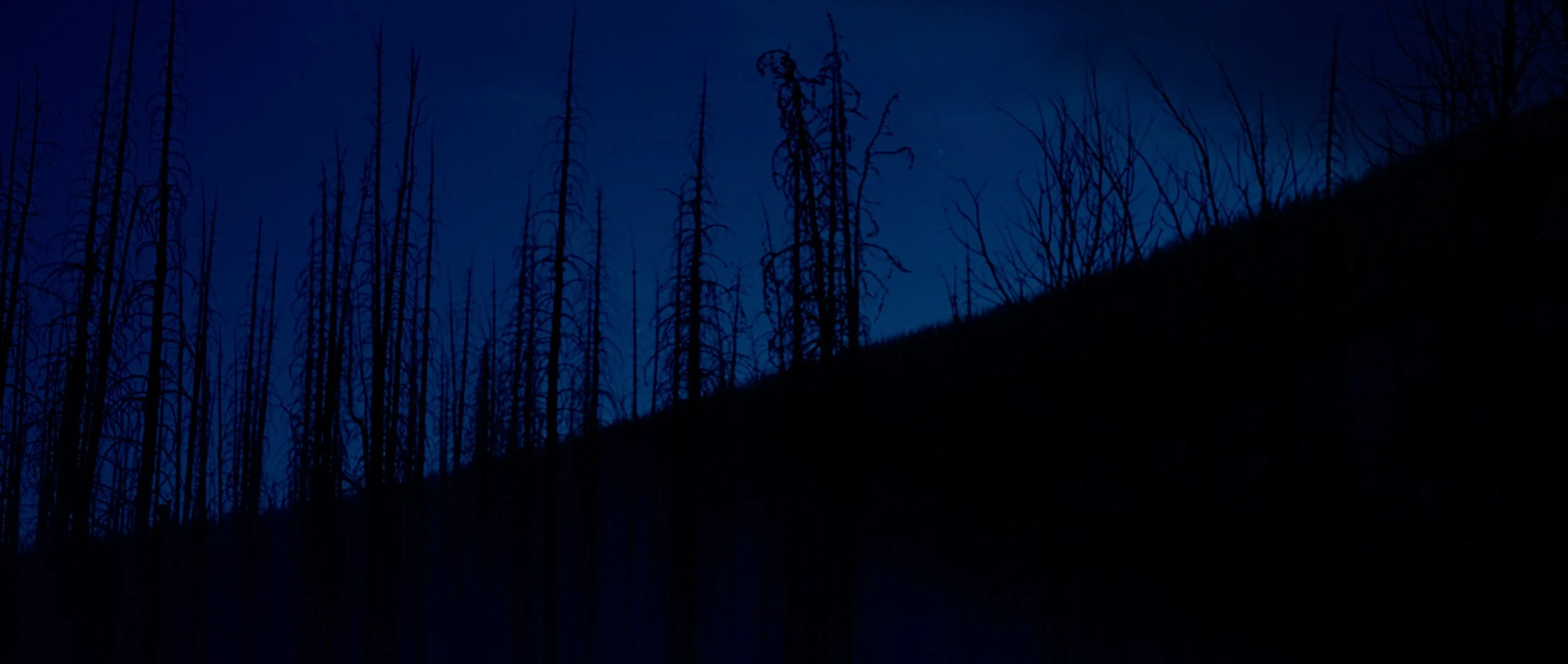 ECOSYSTEM RESTORATION - SOUND DESIGN + COLOR - FINAL.00_02_06_04.Still007.jpg