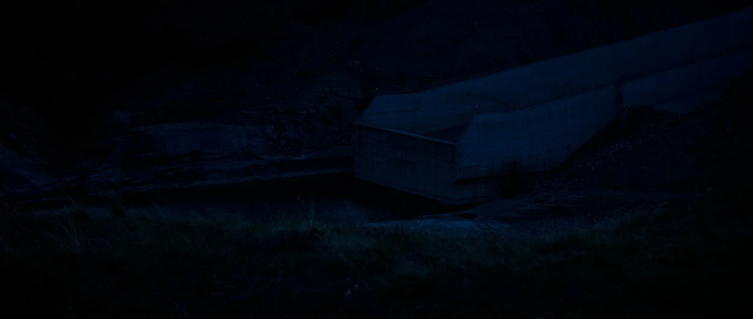 ECOSYSTEM RESTORATION - SOUND DESIGN + COLOR - FINAL.00_02_28_01.Still009.jpg
