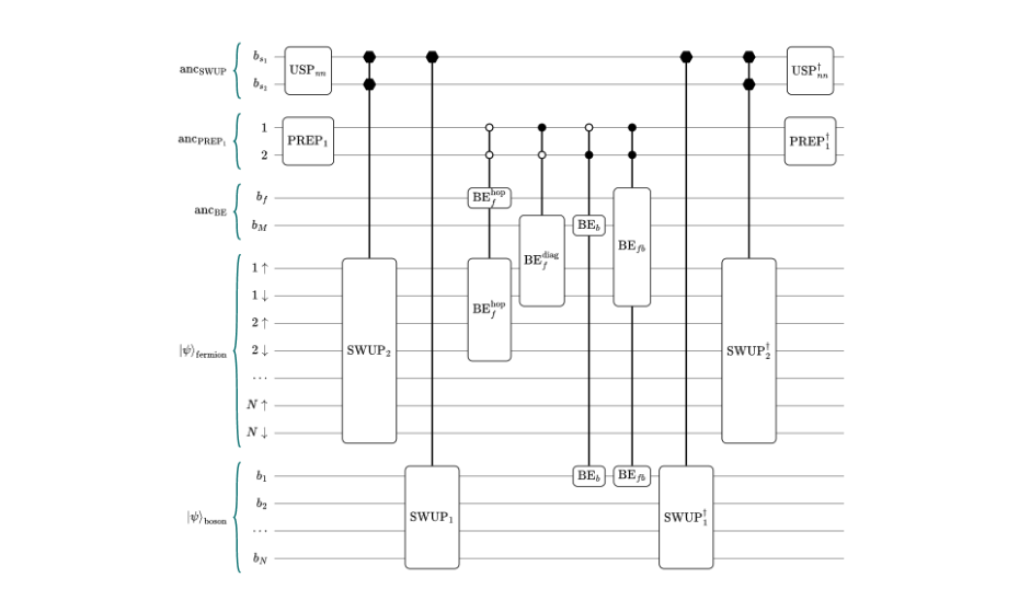 Quantum fast-forwarding fermion-boson interactions via the polaron transform