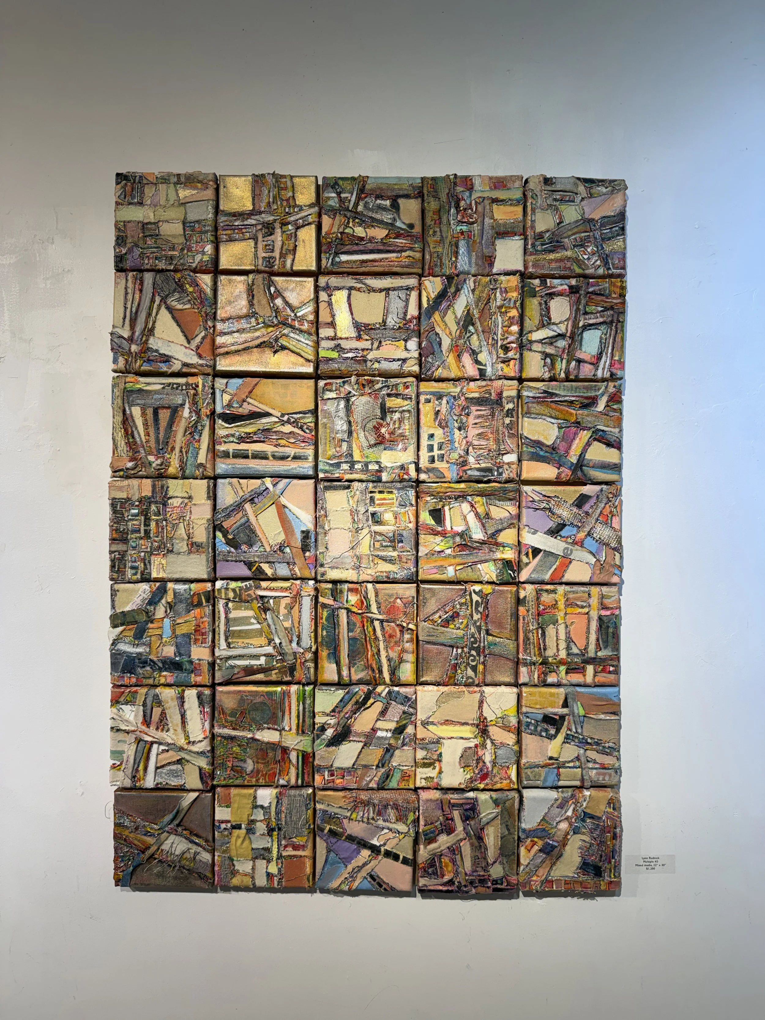 Lynn Rudnick - "Multiple #3," Mixed Media, 22 x 30 inches.