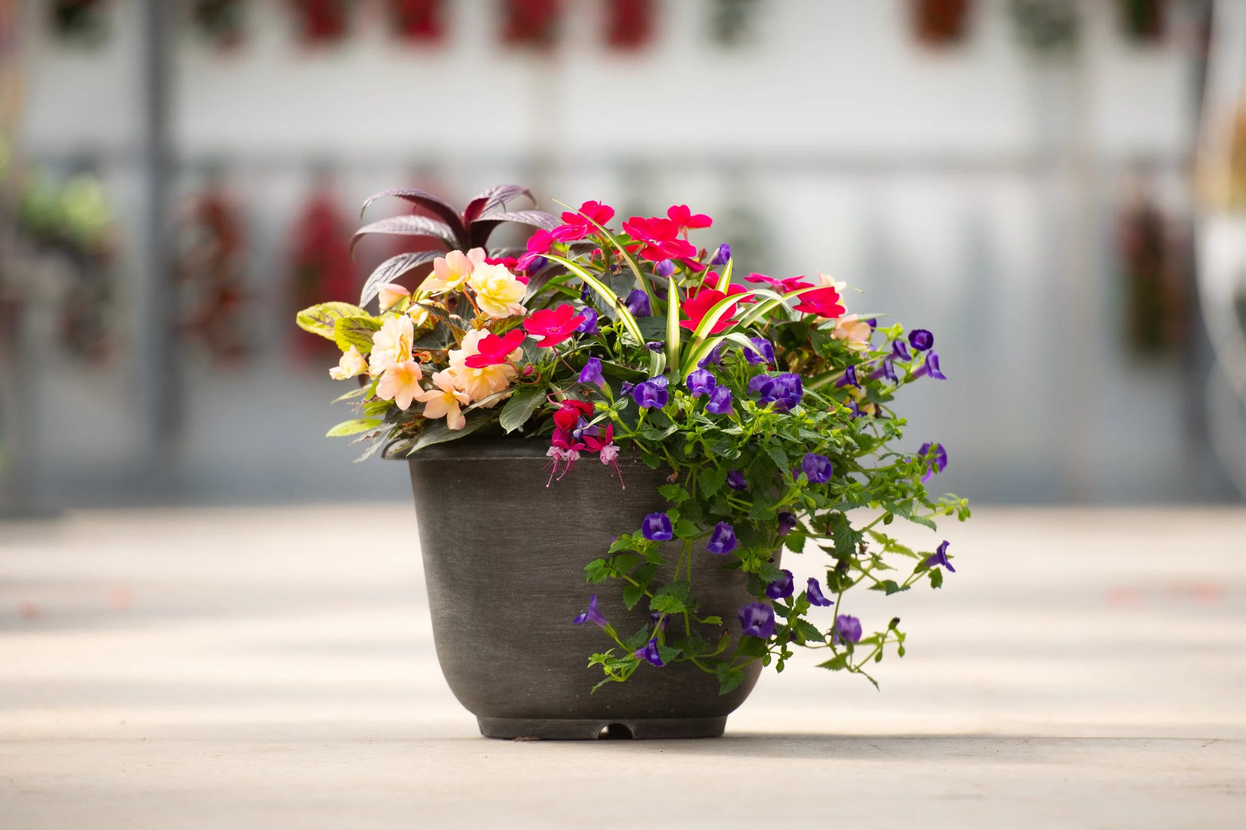 Custom Planting