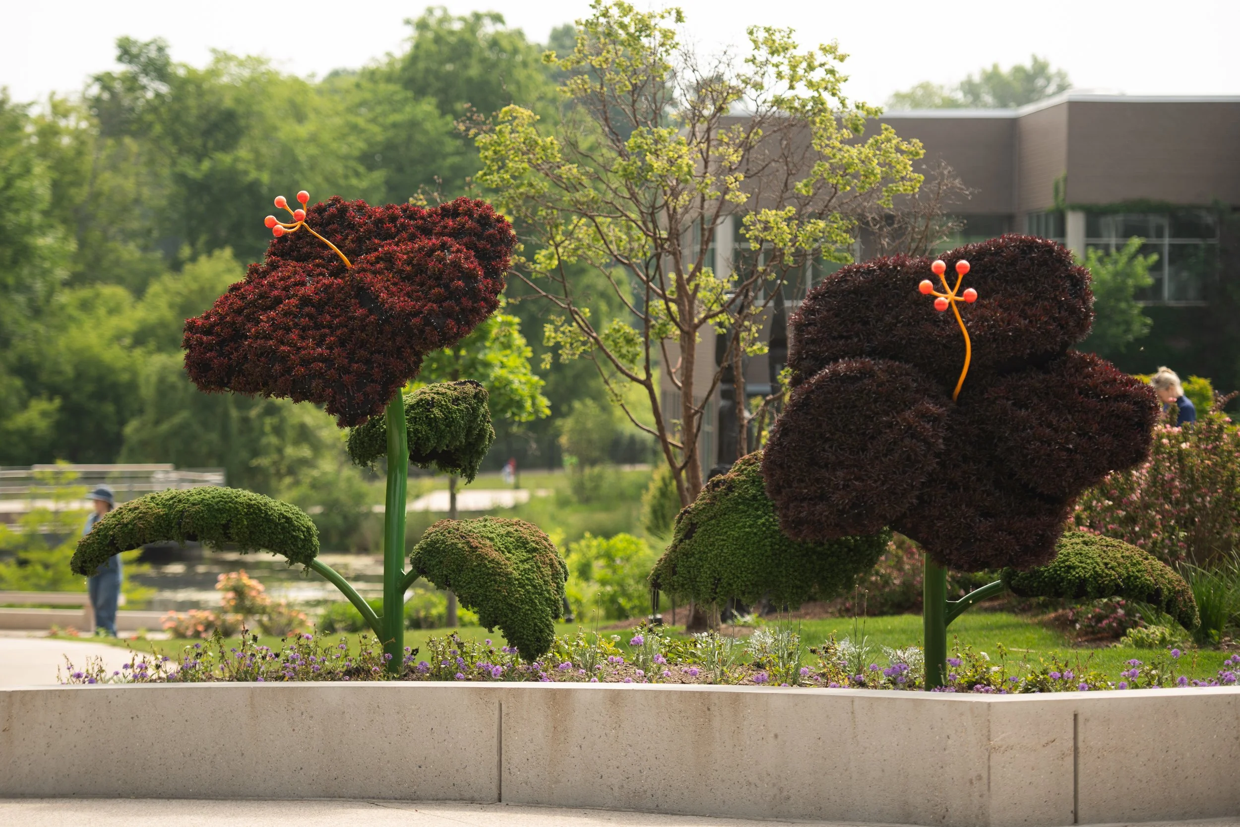 Two large topiary plants shaped like oversized dark red and purple flowers with orange stamens, planted in a flowerbed with smaller green bushes and purple flowers, outdoors with trees and a modern building in the background.