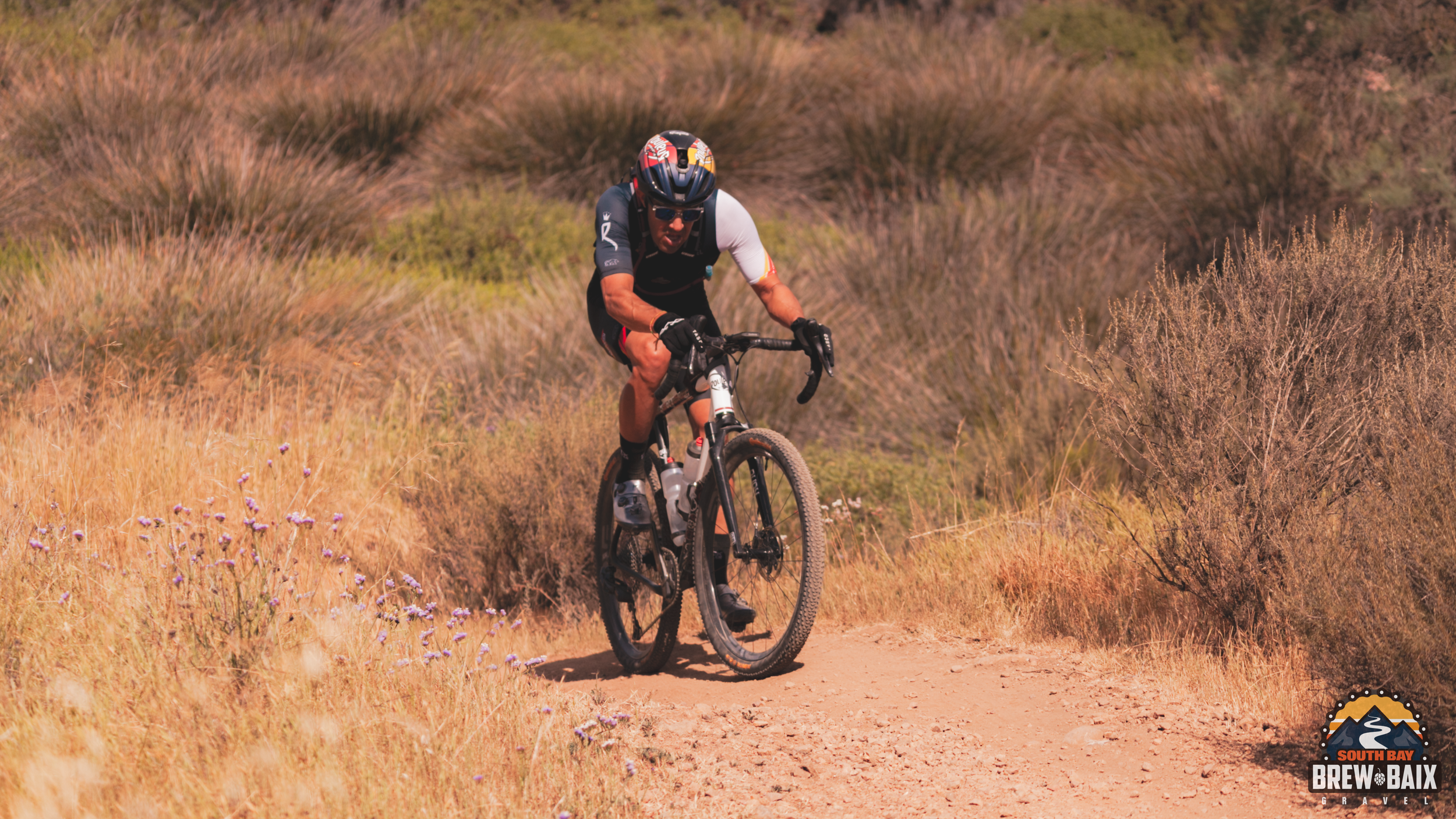 BCCC - 2026 Southbay Brew-baix-270.png