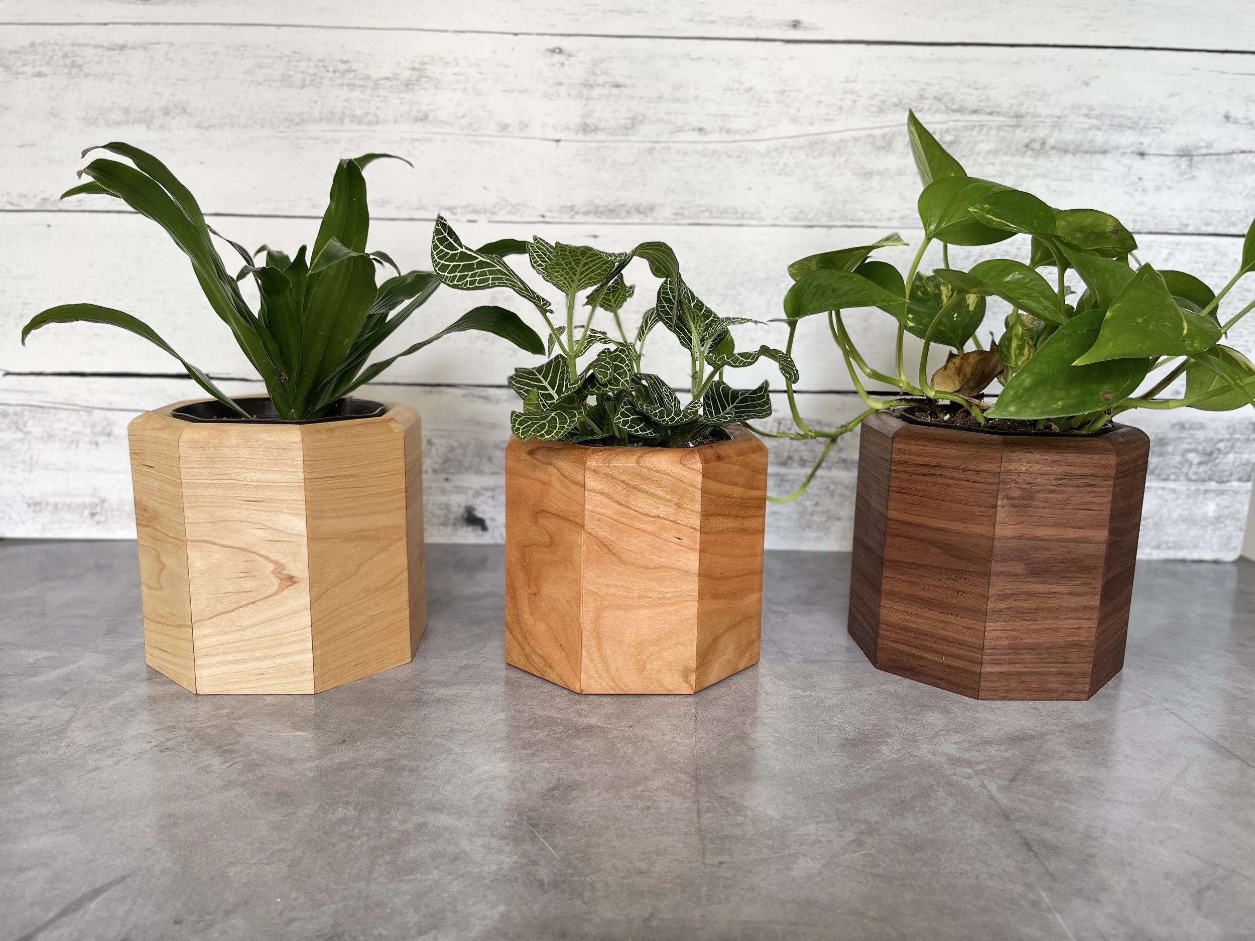 Walnut Octagon Planter Sleeve  Hammond Handcrafted