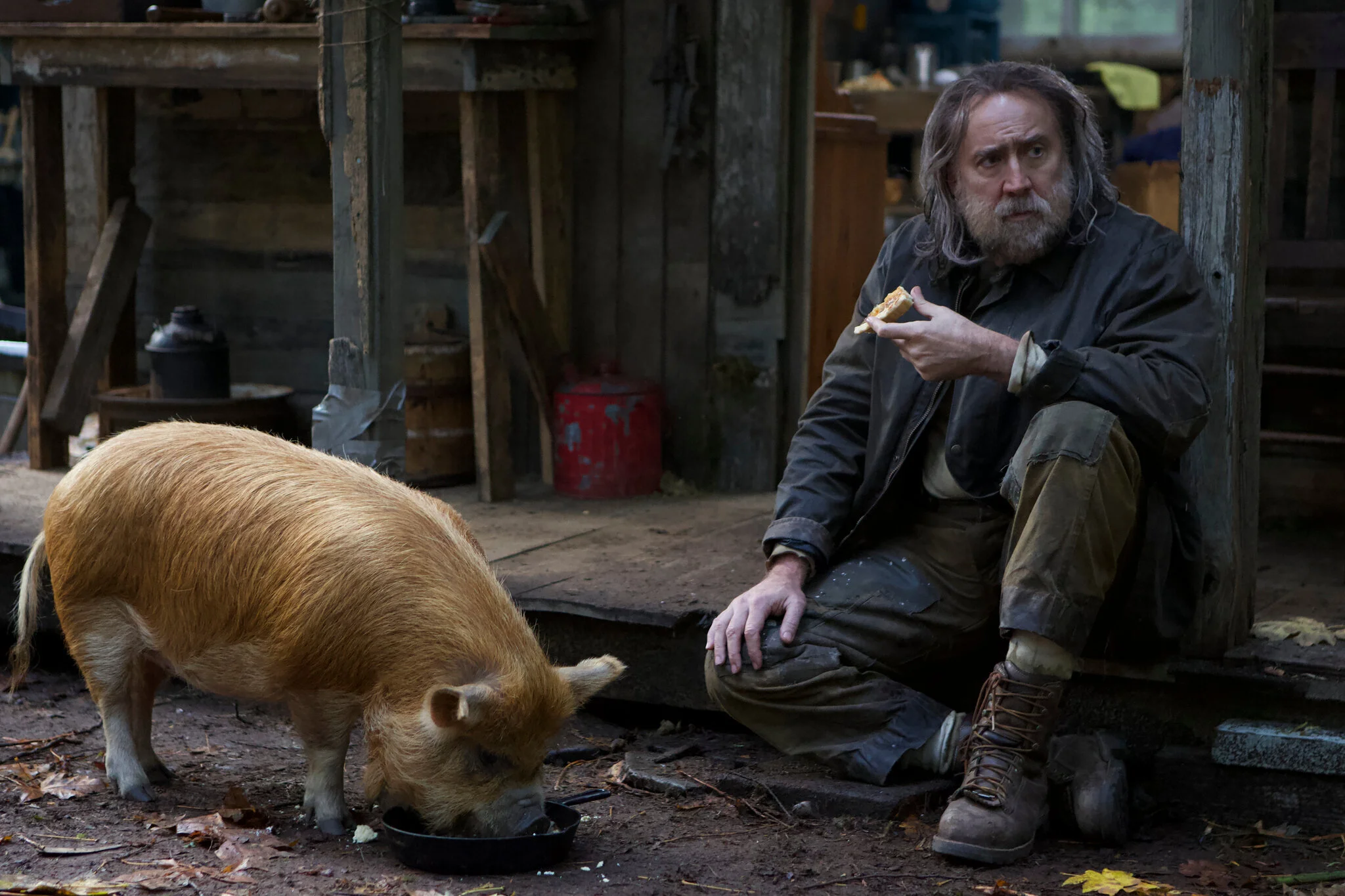 Episode 237: Pigs &amp; Roadrunners: A New Legacy