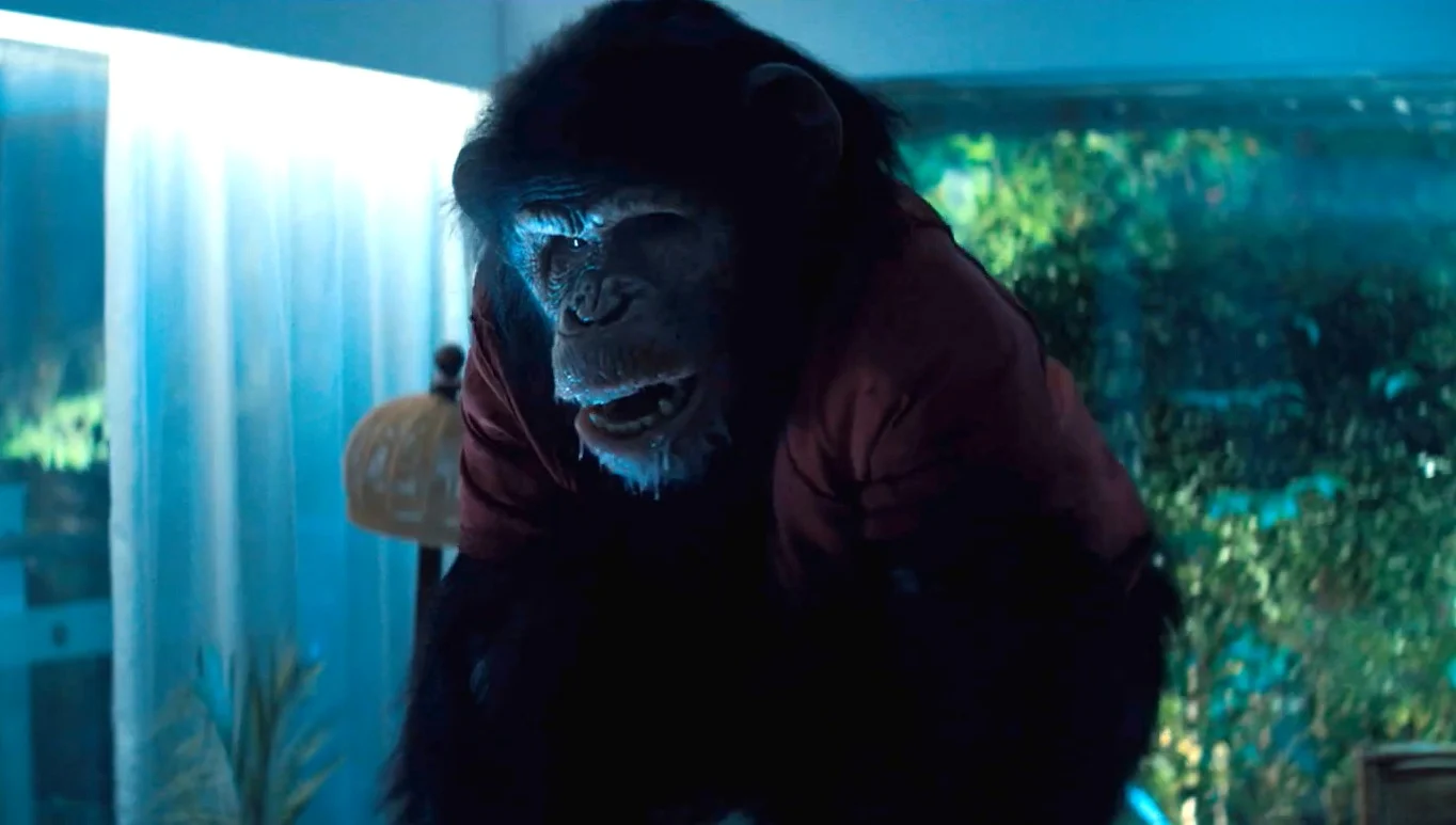 Episode 623: Scorched Earth, Crushed Souls &amp; Ripped Faces