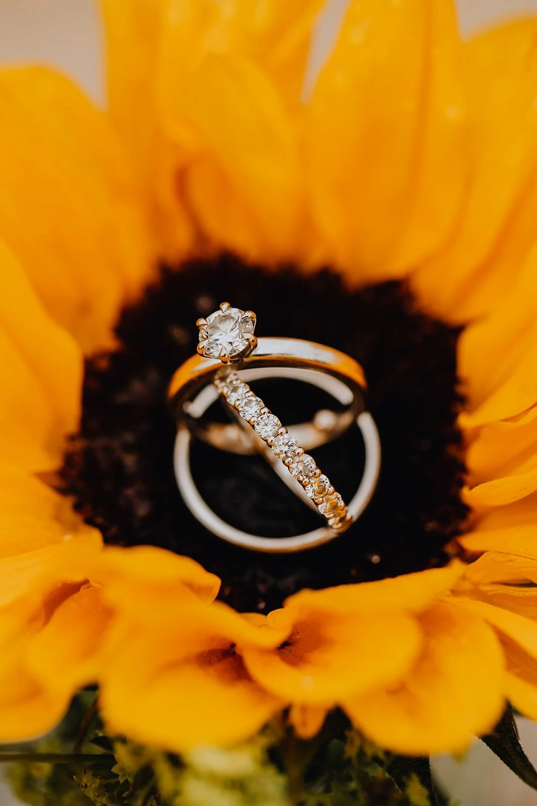 valentine christohe .jpg