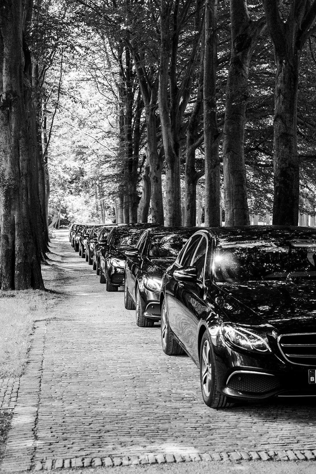 sofie en ben 1-46_1.jpg