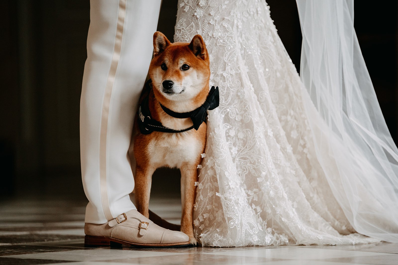 preview 56_websize.jpg