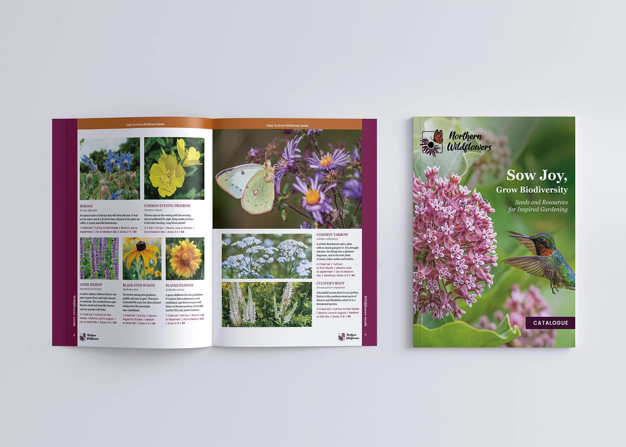 Open wildlife seed catalog displaying colorful flower images on left page and a pink flower and hummingbird on the cover of the catalog on the right.