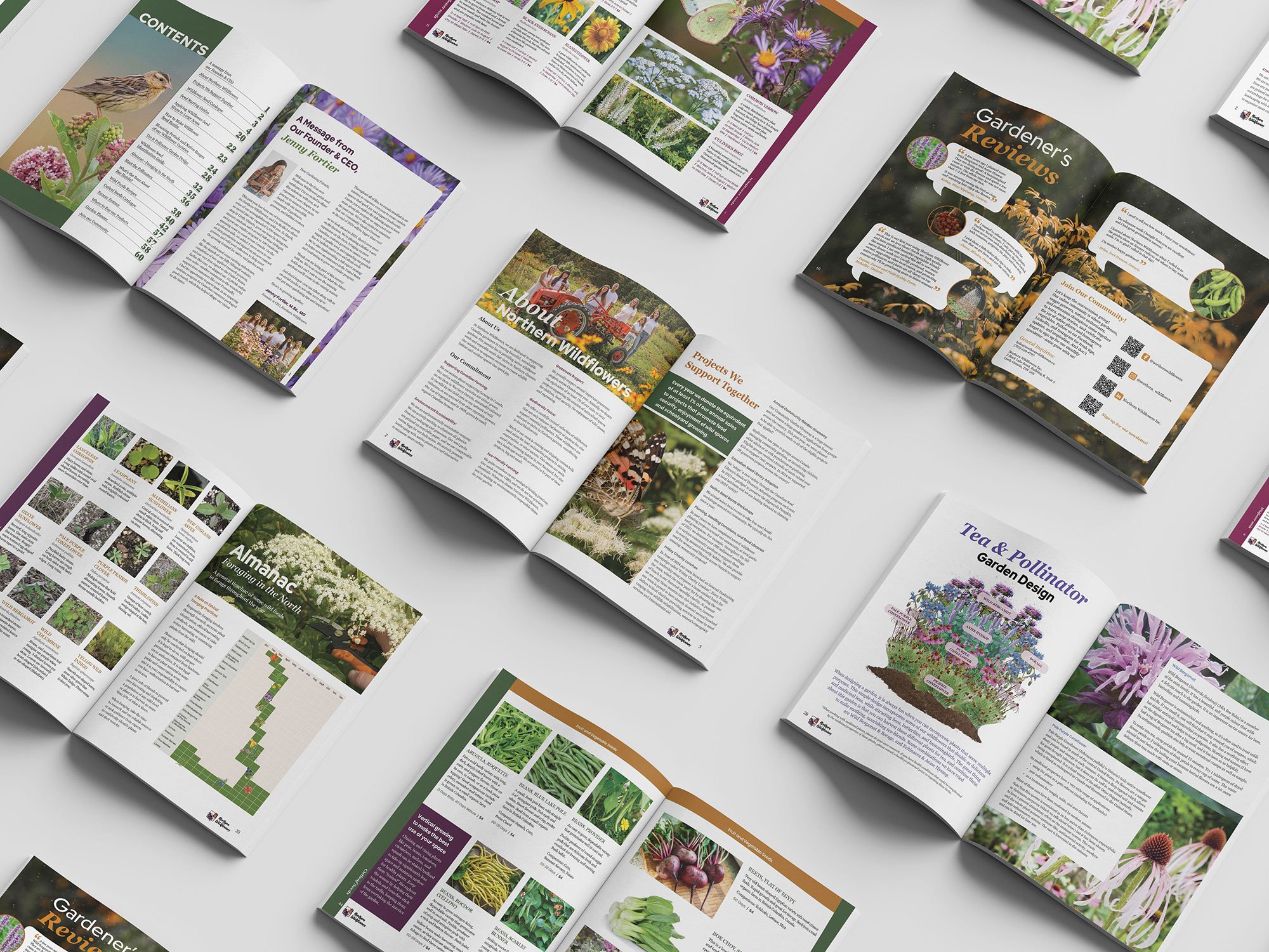 Portfolio example of Northern Wildflowers 2025 Seed Catalogue designed by My Type Creative. Open magazine mockups showing flowers, wildlife, gardening and greenery.