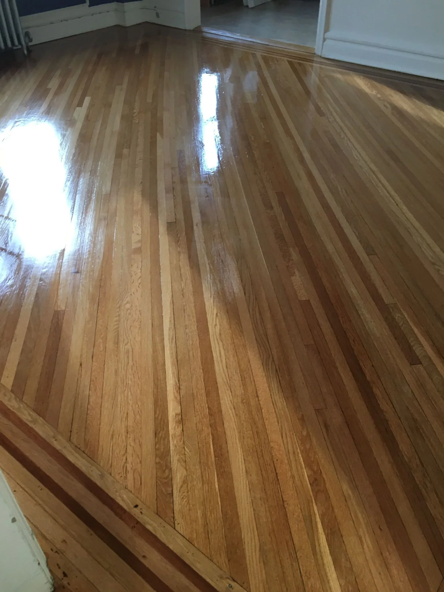 WhatsApp Image 2023-01-13 at 8.31.52 AM.jpeg