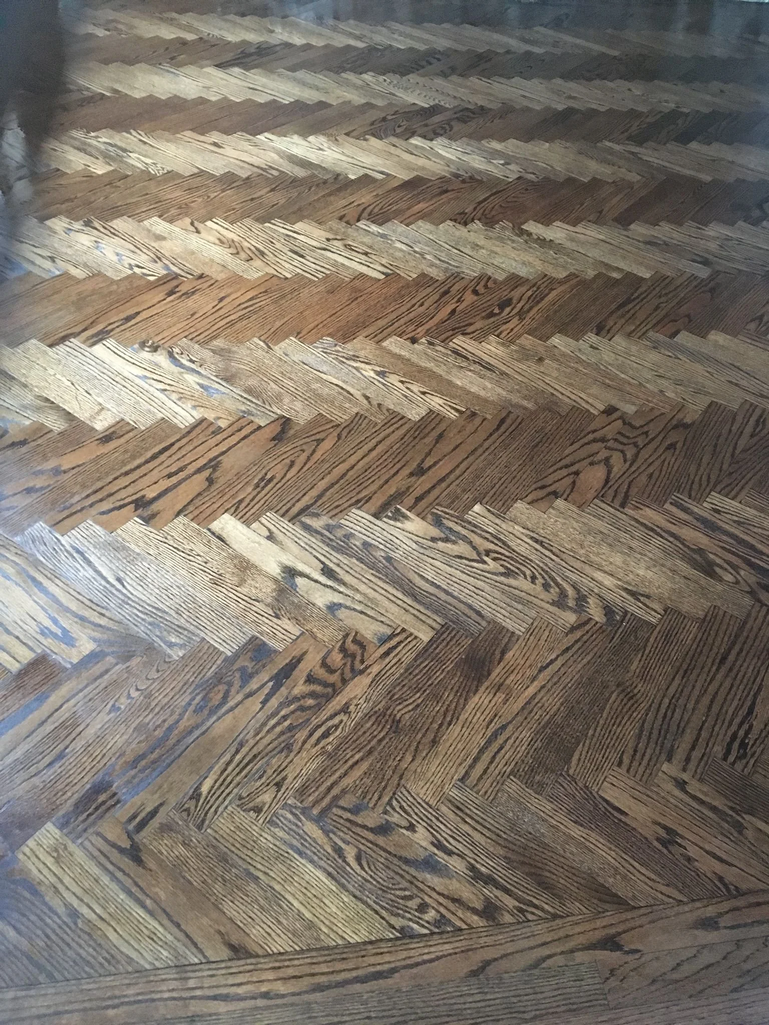 WhatsApp Image 2023-01-13 at 8.31.52 AM (1).jpeg