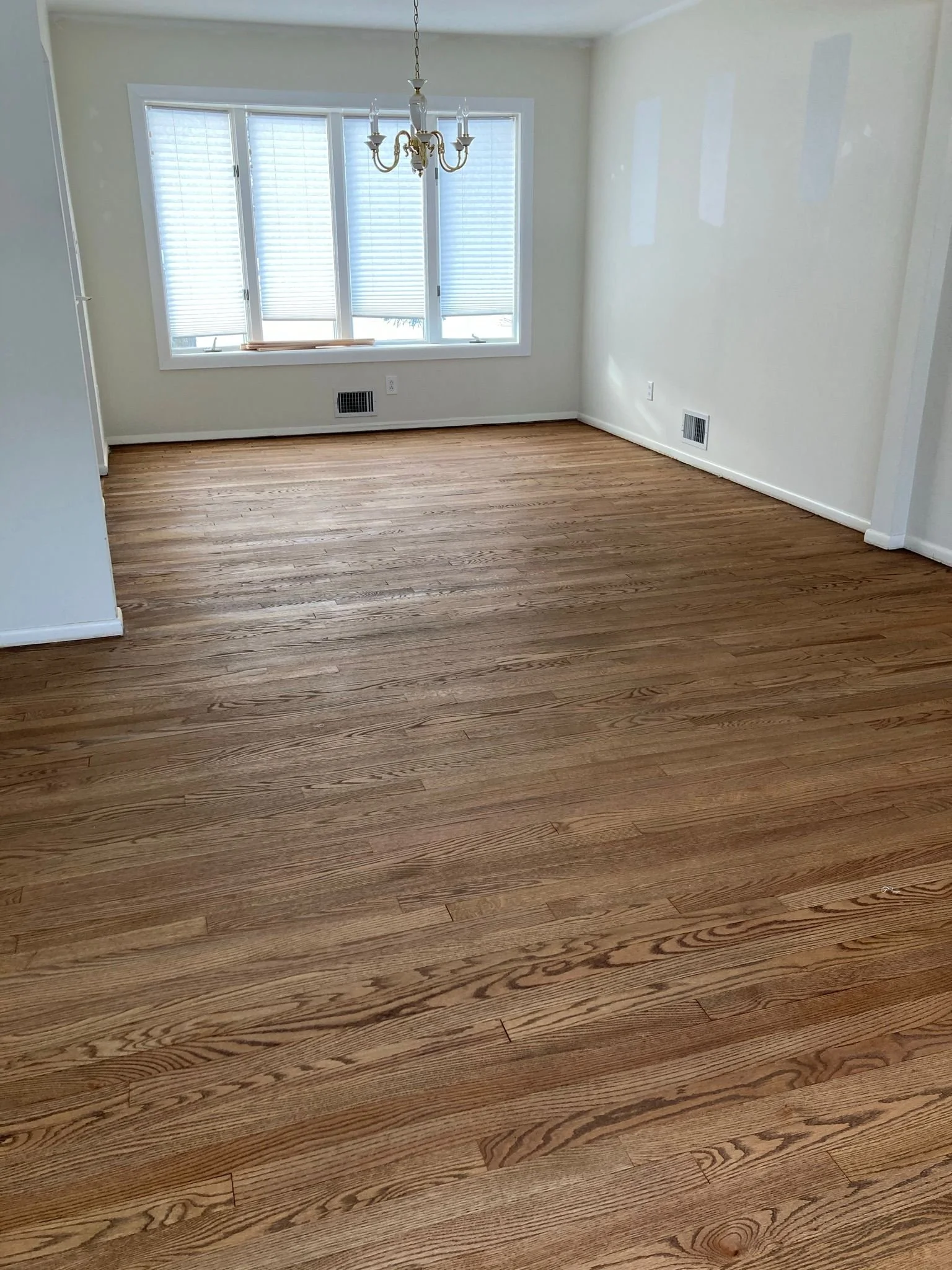 WhatsApp Image 2023-01-13 at 8.32.17 AM.jpeg