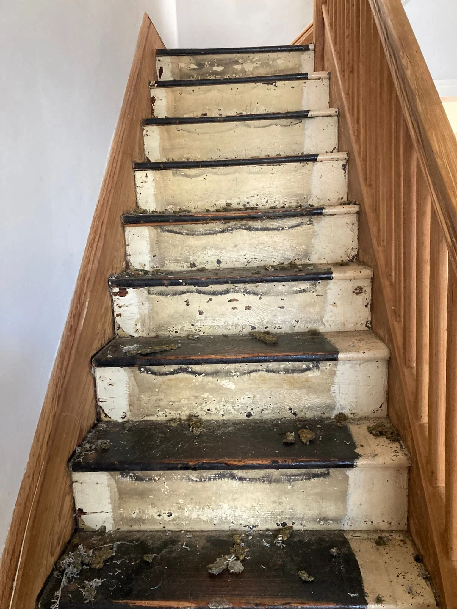 WhatsApp Image 2023-01-13 at 8.32.35 AM.jpeg