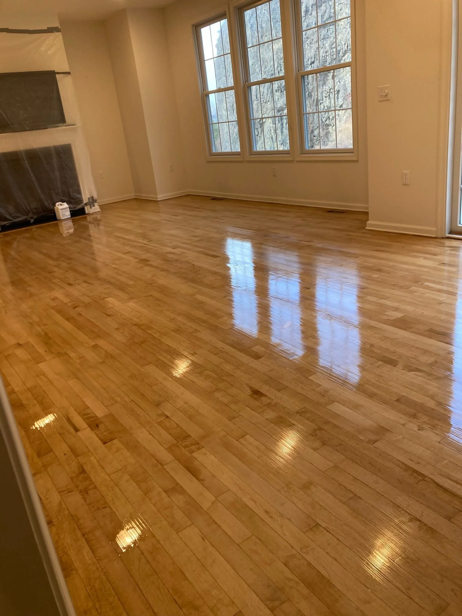 Floor Screening and Recoating — O'Brien Floors