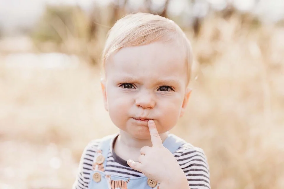 This little guy really made me work for the smiles! But we got there with some books and bubbles! 

Really though, when your frown is this cute, does it really matter???? 😍

#simonegreenphotography #canberraphotographer #familyphotography #canberraf
