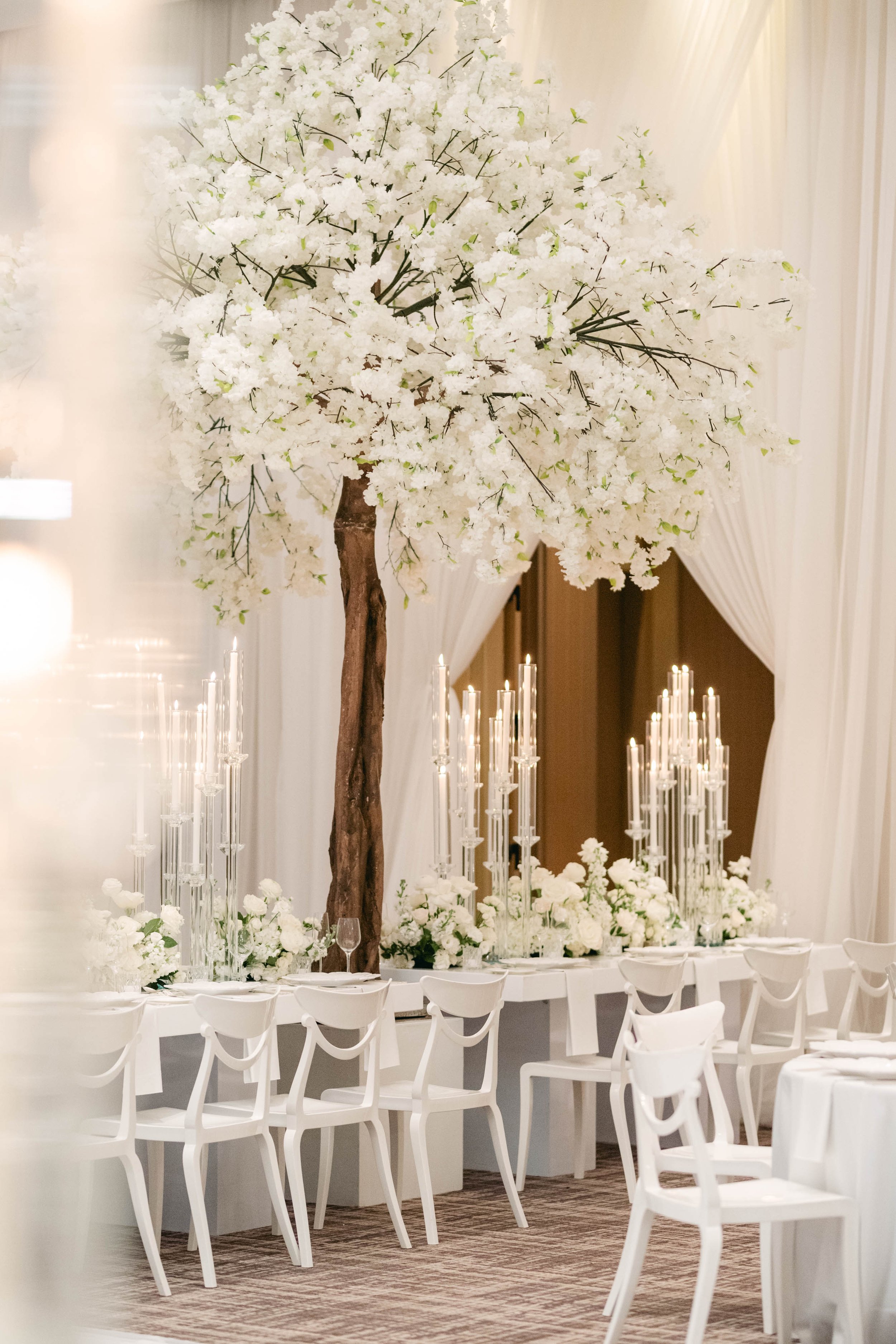 White Winter Wonderland