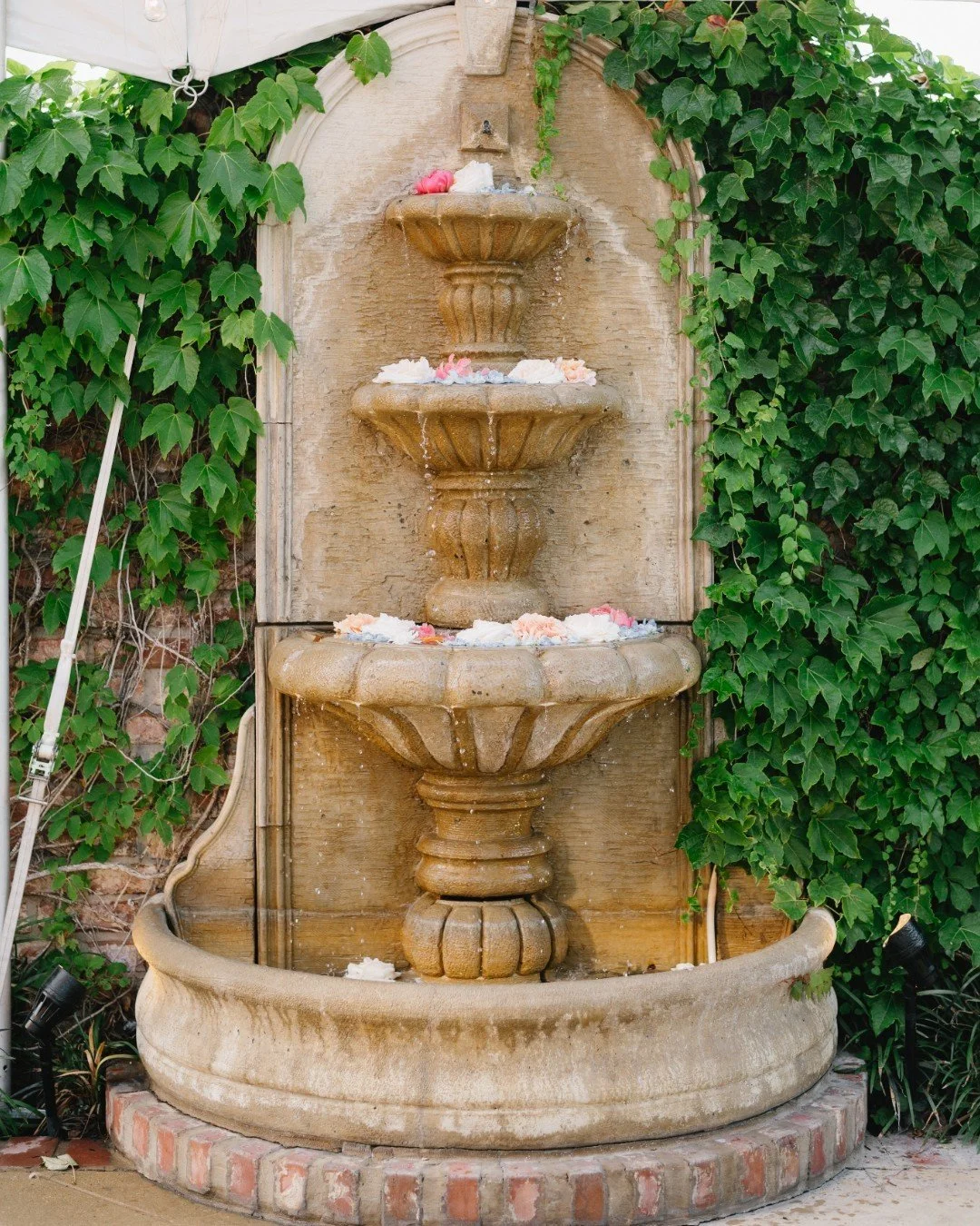 The details from cocktail hour that we are still oohing and awing over 💐

Planning &amp; Design - @weddingsbystardust
Beauty - @lipservicemakeup
Entertainment - @thespecialeditionband, @leforcedj, @joshgoode
Floral - @branchingoutevents
Photography 