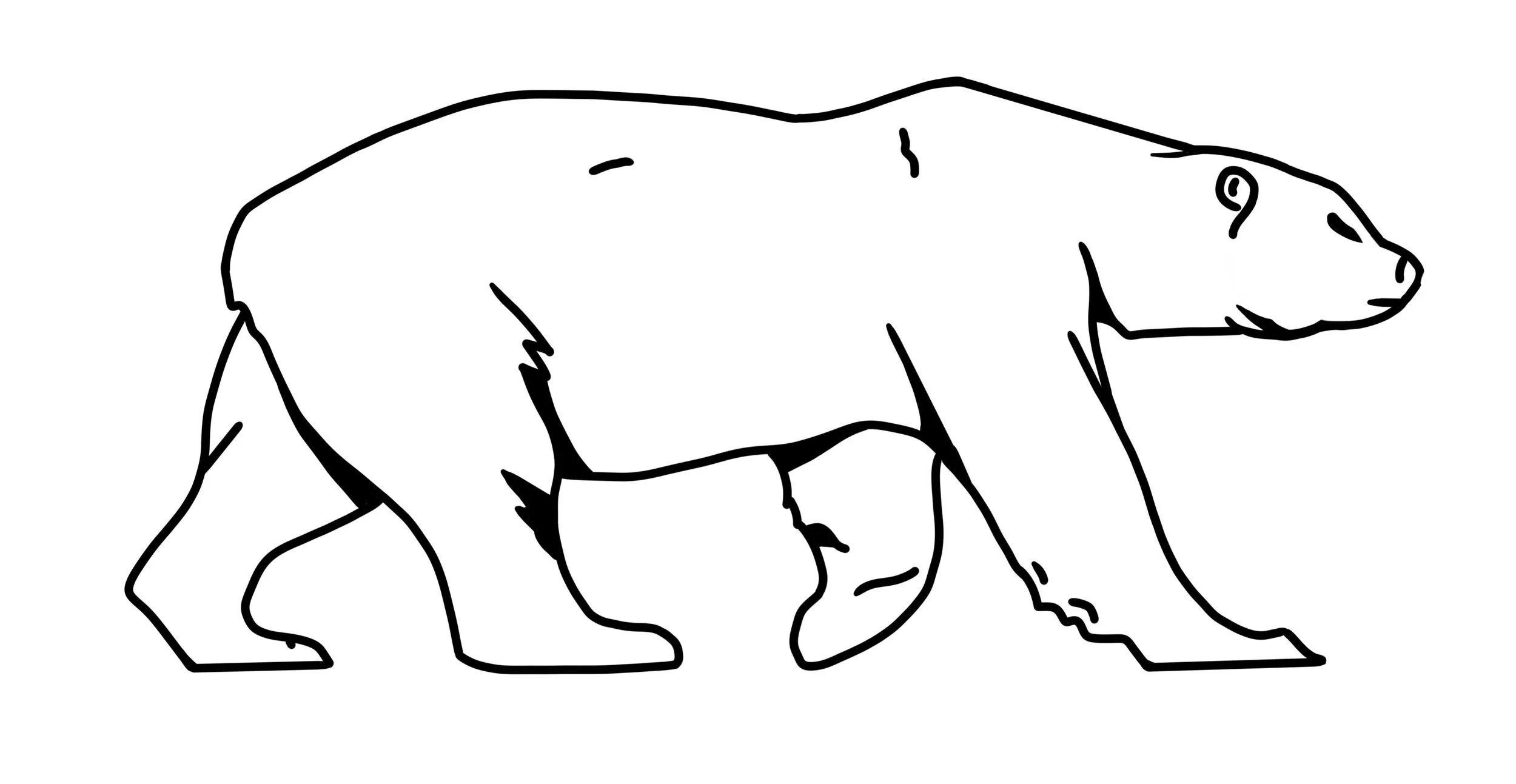 Polar Bear Cooling u0026 Heating