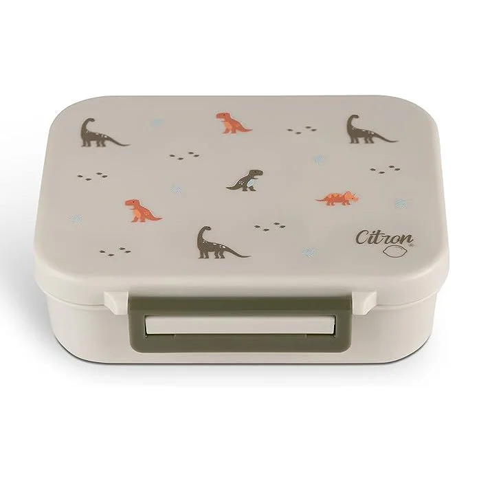 Citrone snackbox.jpg