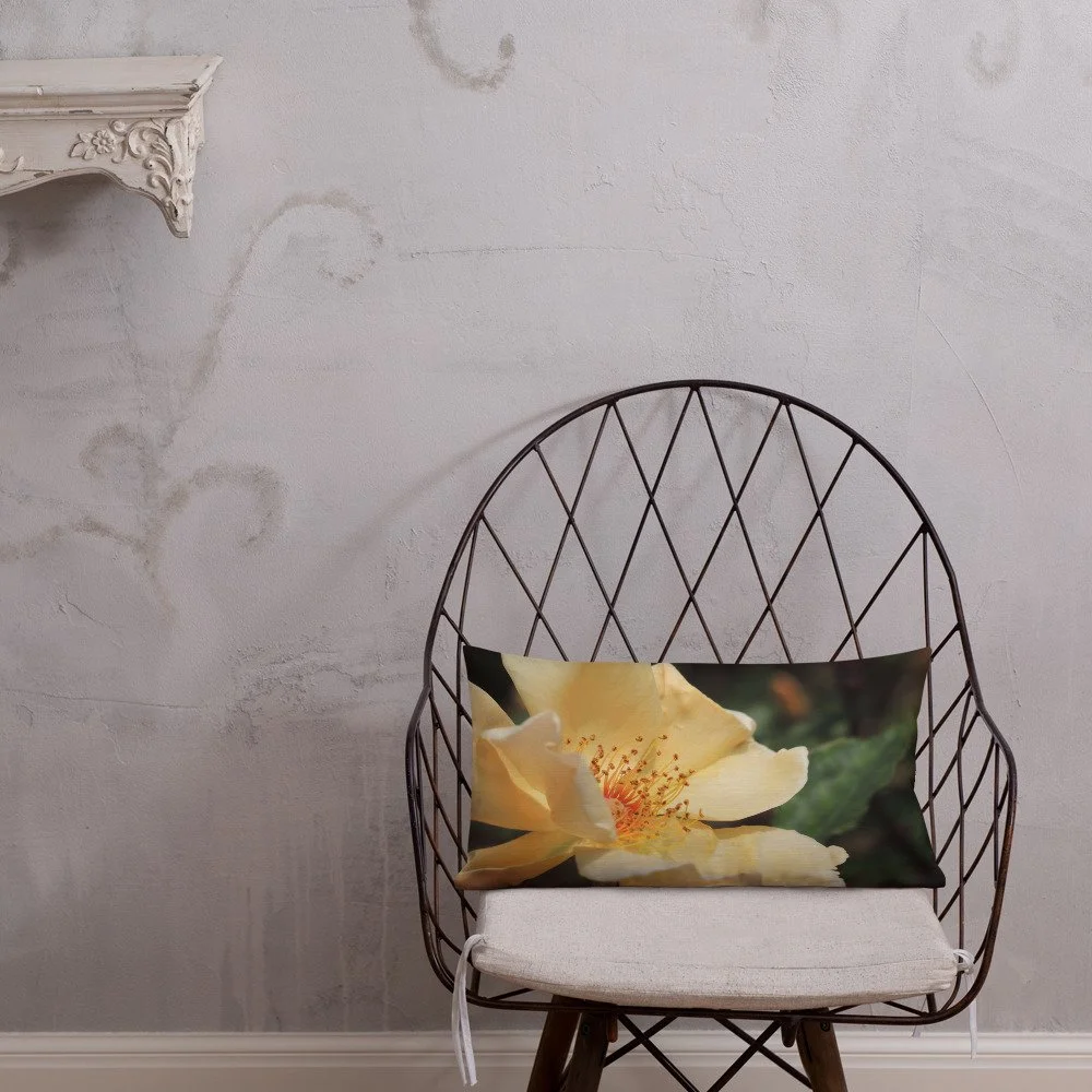 all-over-print-premium-pillow-20x12-front-lifestyle-1-64e60c7811ad1.jpg