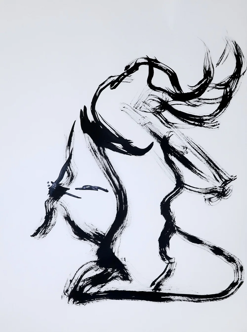 Copy of IMG_0015.JPG