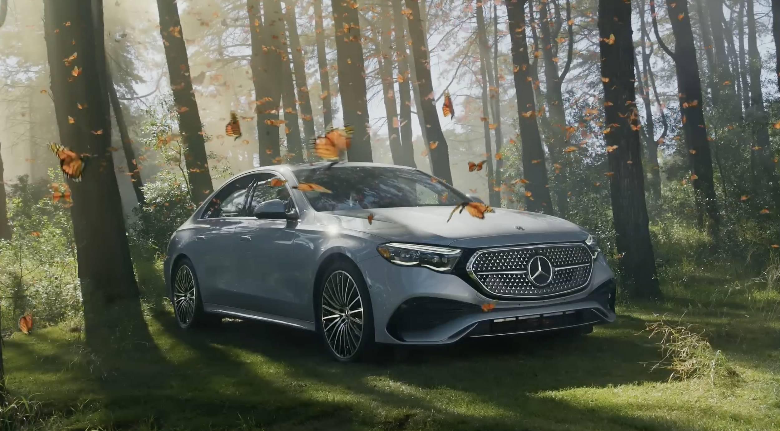 Captura de ecrã 2026-02-18, às 10.04.14.png