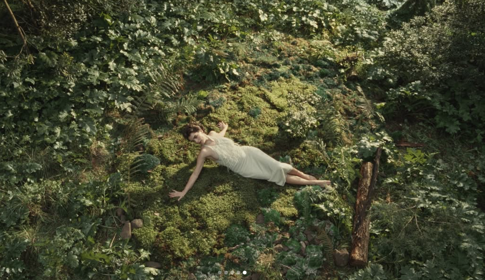 Captura de ecrã 2026-02-18, às 08.35.57.png