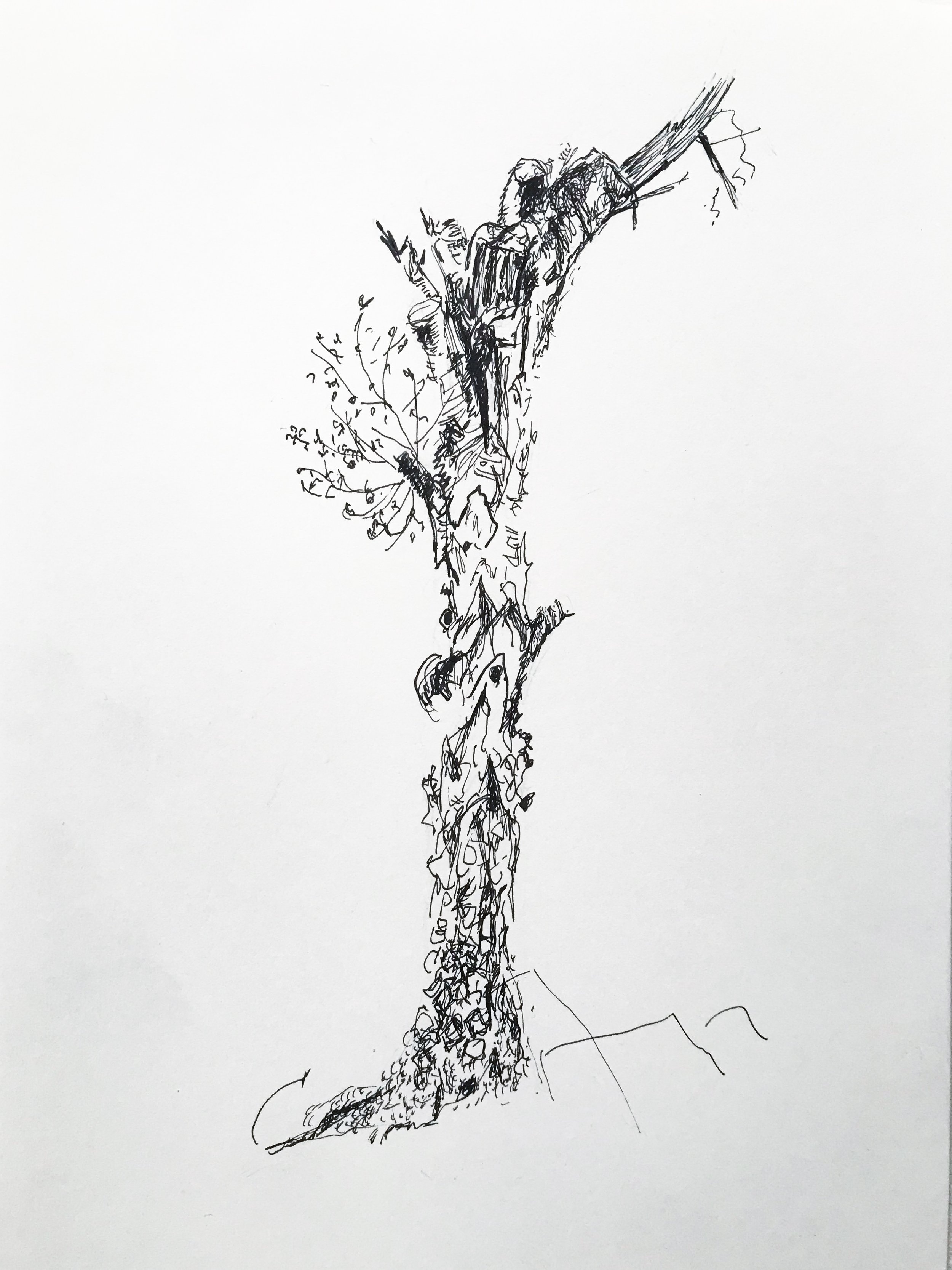 Trunk, pen on paper, 210x297mm