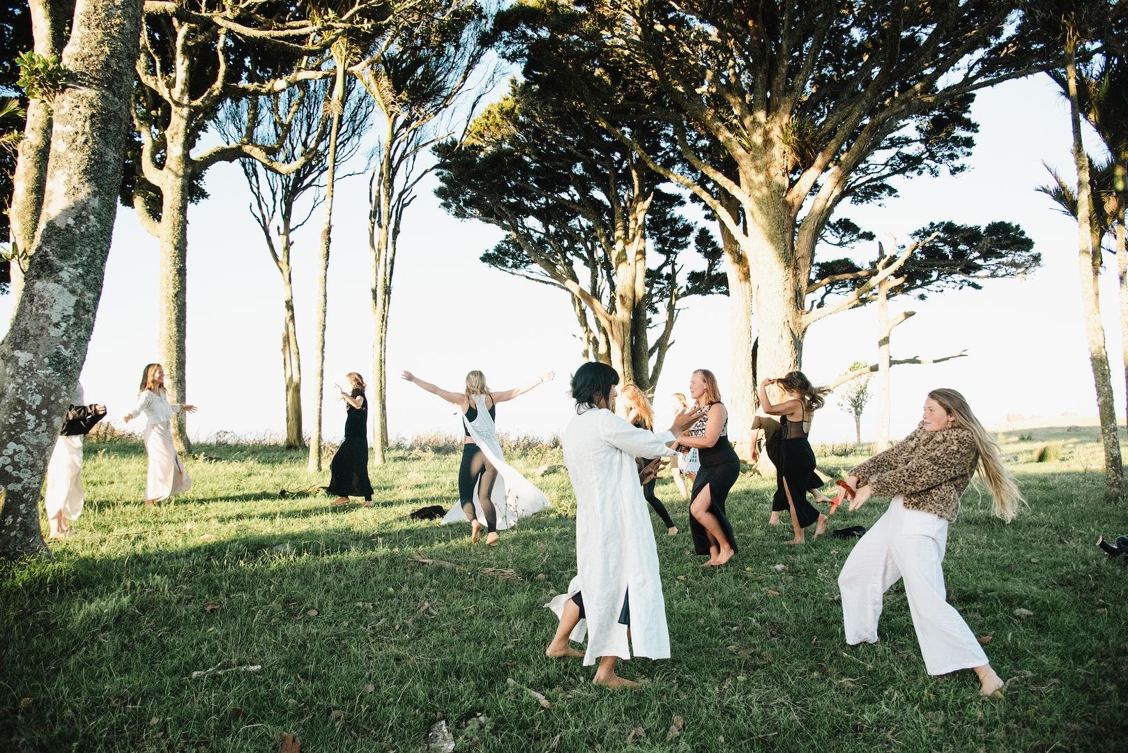 <span class="sqsrte-text-color--accent">Dance Movement Therapy Series</span>