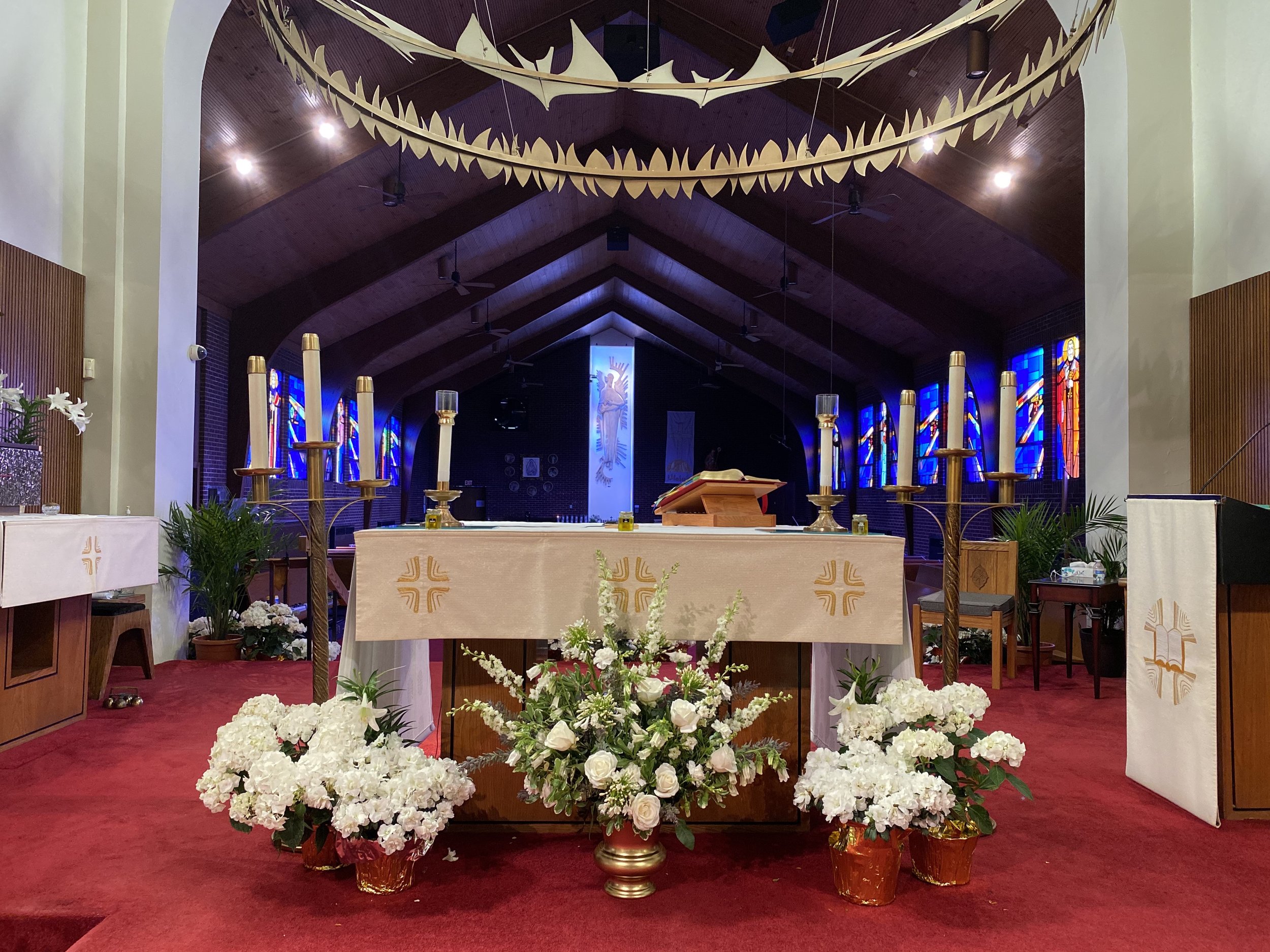 64089516240__A67A692B-7318-4A65-8665-CC1D243AE051 copy.jpg