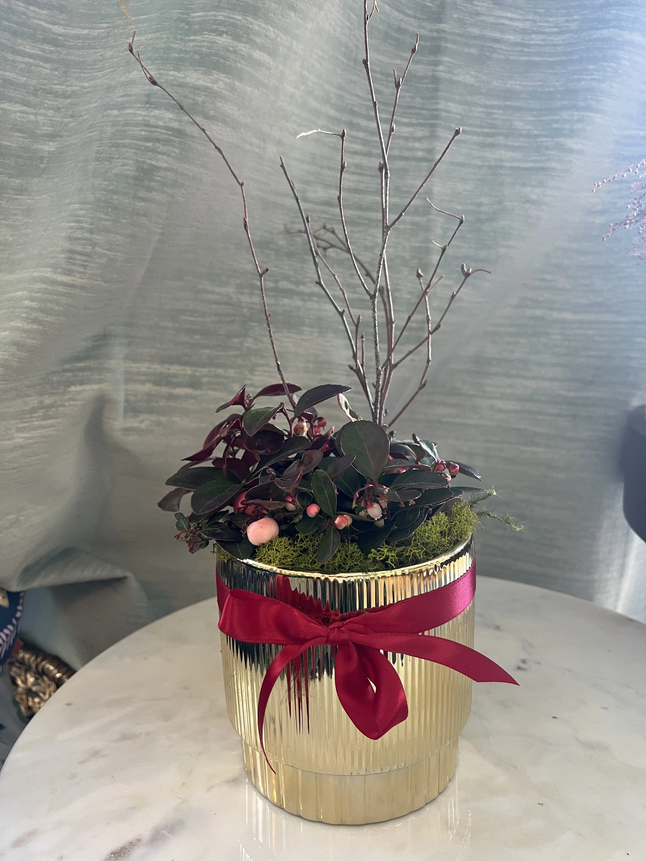 Winter Evergreen in Gold Pot