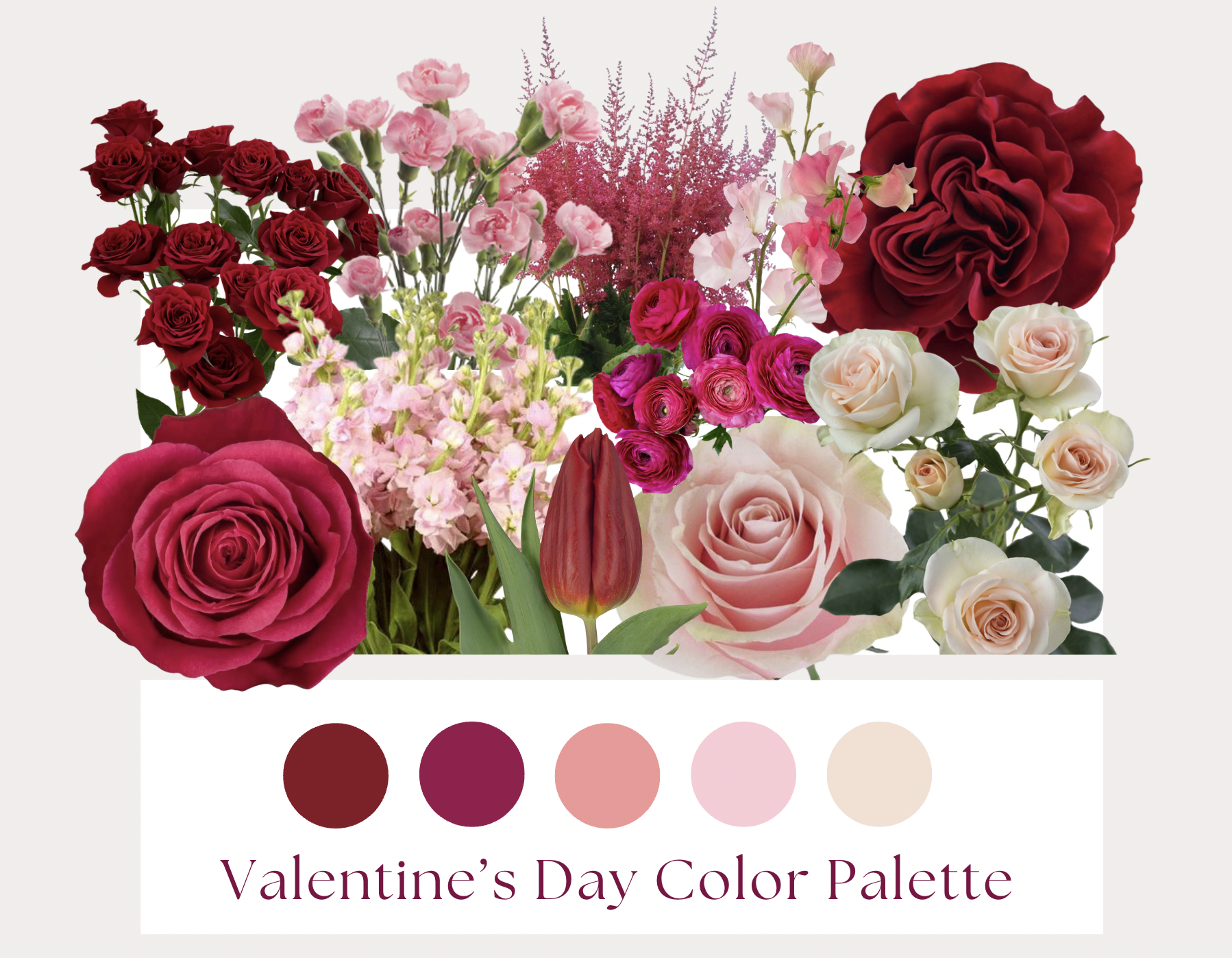 Screen Shot 2026-01-09 at 1.27.46 PM.png