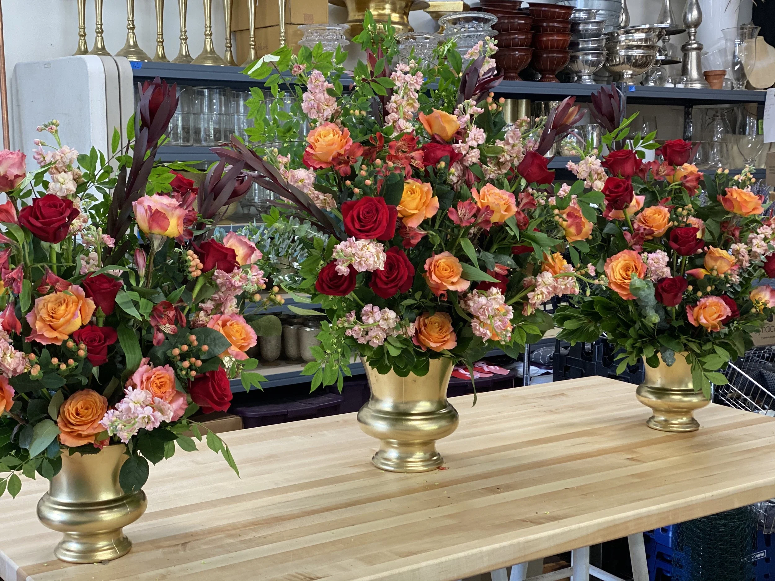 64331166207__D9D08423-316B-4783-A02D-6848907160CC copy.jpg