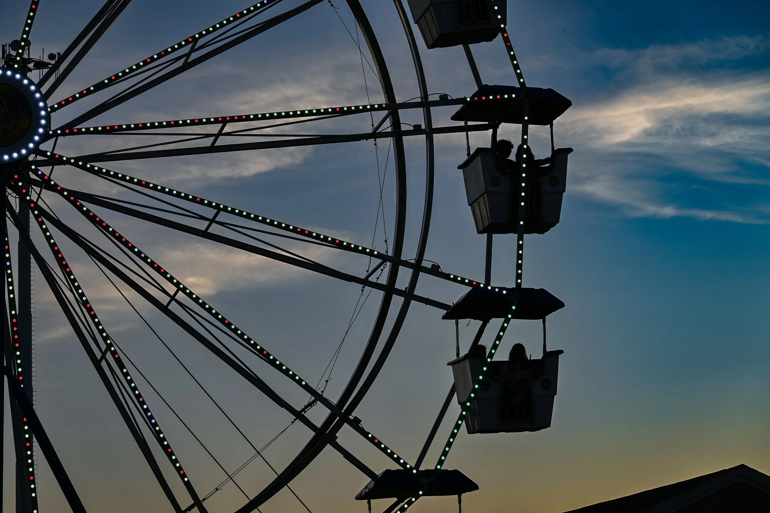 ferris wheel.jpg